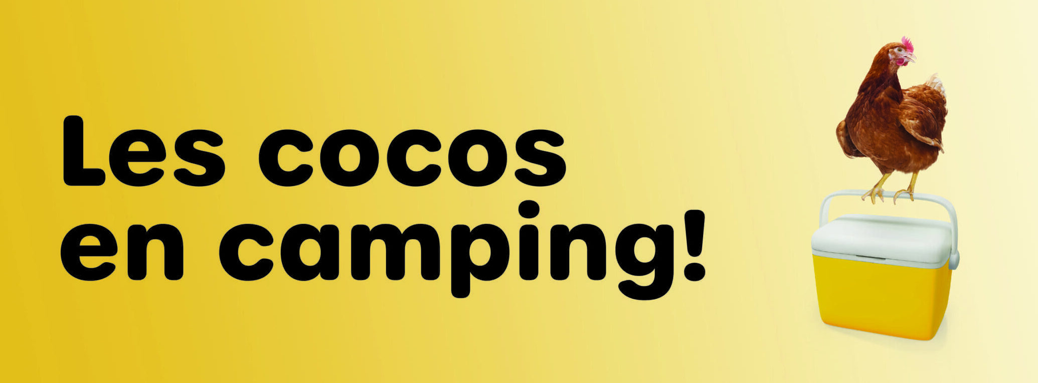 Bannière_page camping_mai 2026